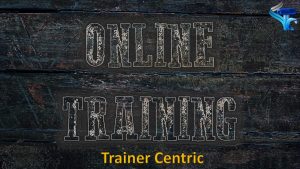Tips for Effective Online Learning, Tips for online triaining, online training tips, How to train online classes, train online effectively