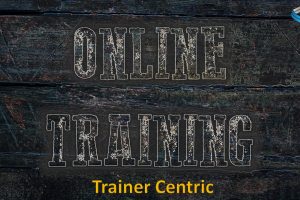 Tips for Effective Online Learning, Tips for online triaining, online training tips, How to train online classes, train online effectively